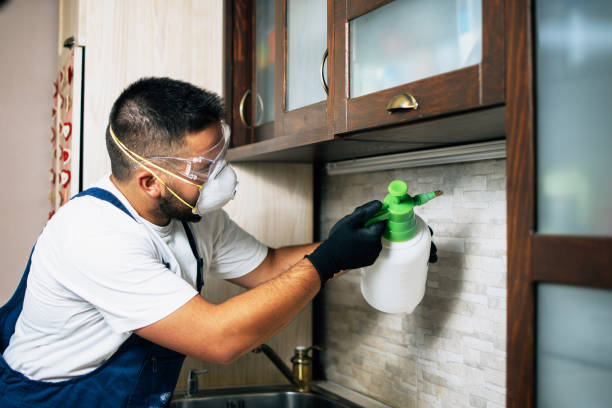Best Best Pest Control Companies  in Addison, TX
