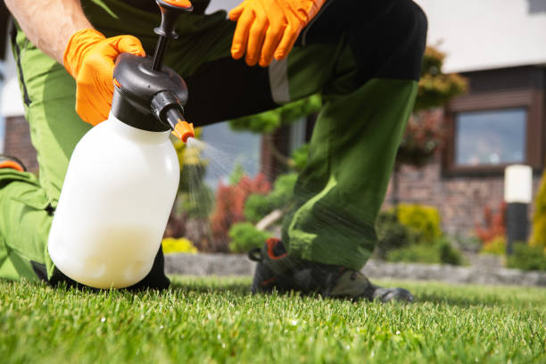 Best Pest Removal Services  in Addison, TX
