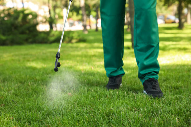 Best Best Pest Control Companies  in Addison, TX