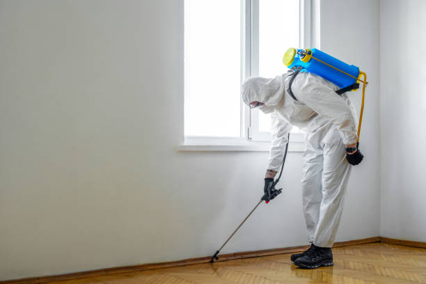 Flea Control Services in Addison, TX
