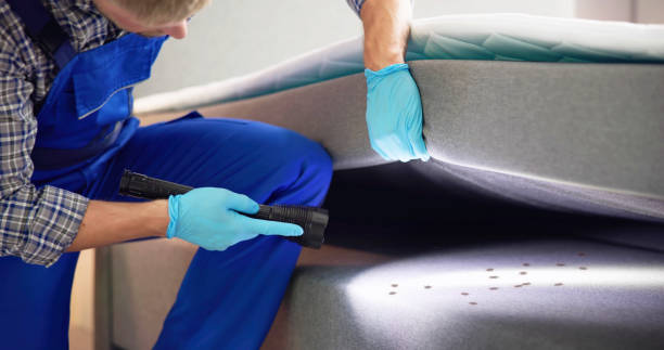 Best Pest Control Near Me  in Addison, TX