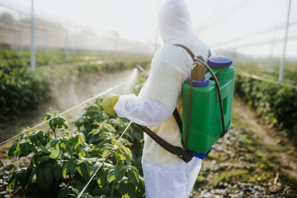 Best Wildlife Control Services  in Addison, TX